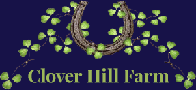 Clover Hill Farm